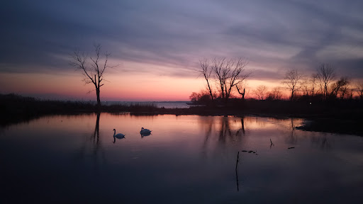 Lake St Clair Metropark campgrounds - Thumbnail