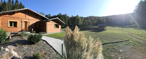 Photo de Chalet Luxe La Clairière Inattendue Hautes Vosges