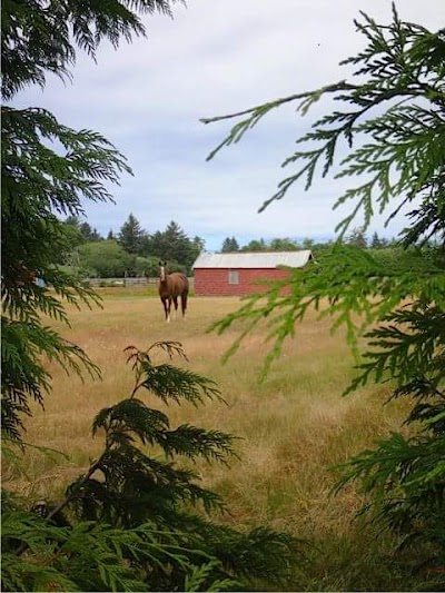 Red Barn Arena