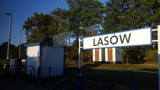 Lasów - Thumbnail