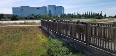 Redwood Shores Branch Library