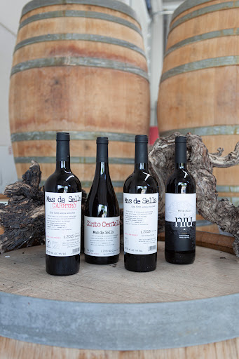 Mas de Sella Bodega