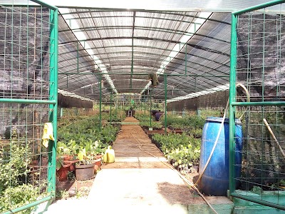 Photos of Kebun Percobaan Sukamulya