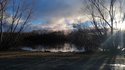 Photos of Lake poaka amenity area