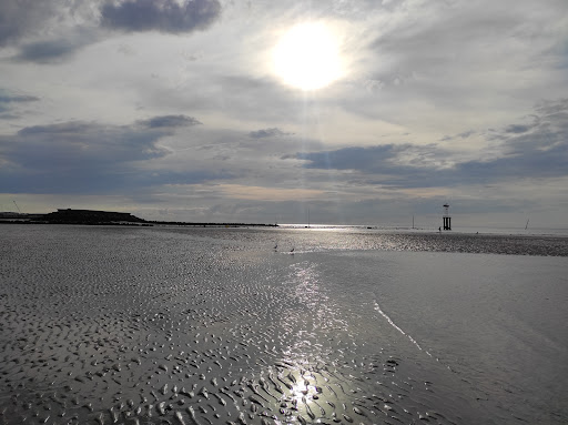 Plage de Trouville Gallery - France