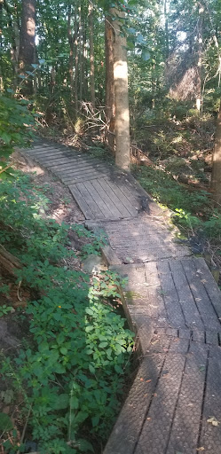 Soldiers Memorial Park MTB Trailhead - Thumbnail