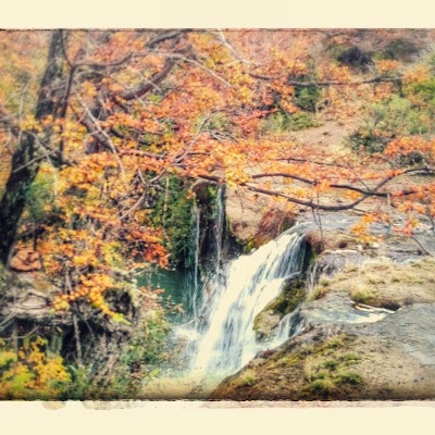 Photos of Inmobiliaria Patagonia