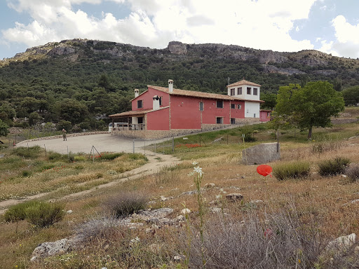 Cortijo EL Sapillo - Thumbnail