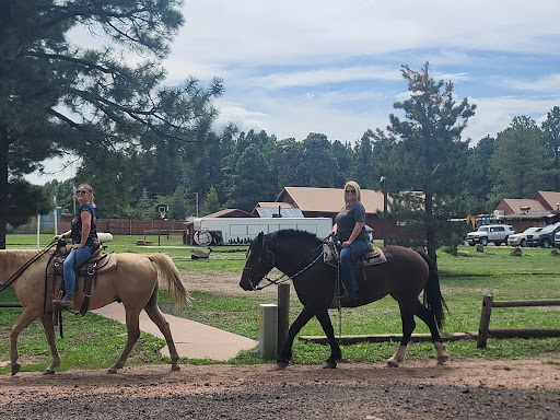 Mormon Lake Campgrounds - Thumbnail