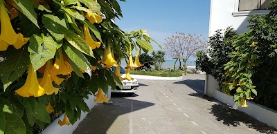 Photos of هتل دلفين
