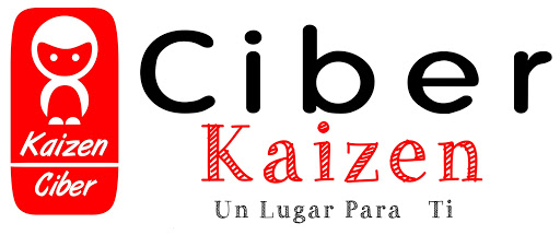 Ciber Kaizen - Visual
