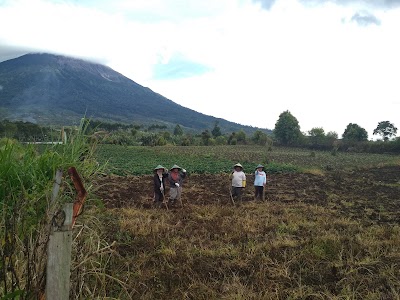 Photos of Taman Bunga Asri Kayu Aro Kerinci