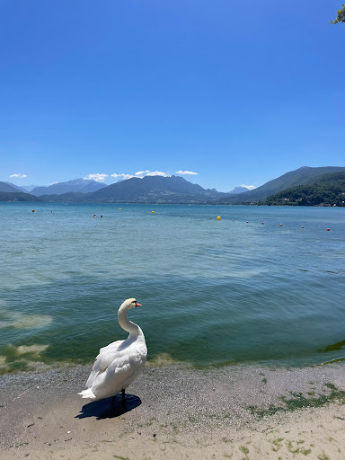 Plage de l'Impérial - Thumbnail