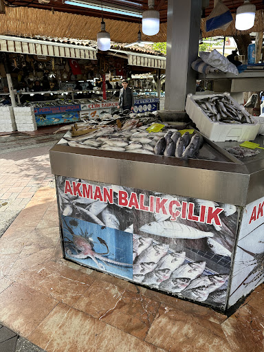 Akman Balıkçılık