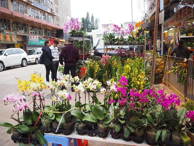 Flower Market