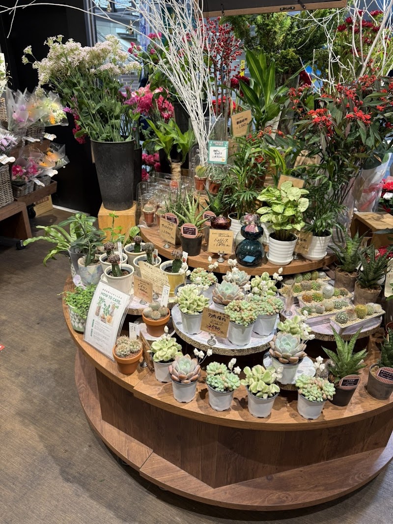 Odakyu OX Flower with Hibiya-Kadan Style 湘南台店