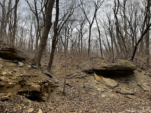 Bluffwoods Conservation Area - Thumbnail