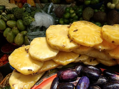 Photos of Maitama Farmers Market