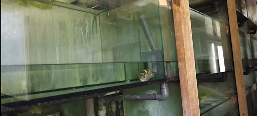 Aquarium Dietzenbach GmbH - Thumbnail