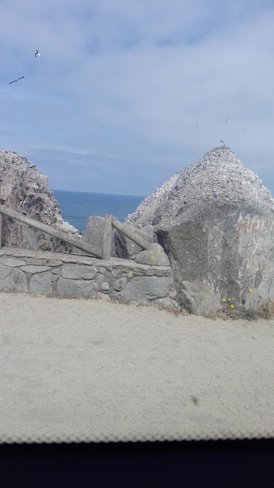 Photos of Playa Potrerillos
