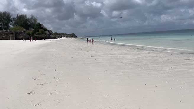 Nungwi Beach by null