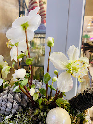 Photo n°50 de Comment lui dire ? à Ouistreham (Boutique de cadeaux)
