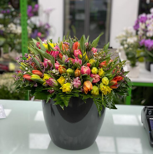 Florem - Blumen Konstanz photo