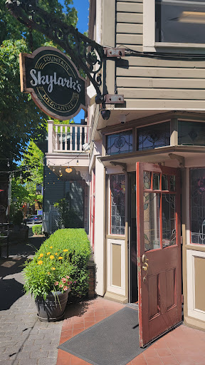 Skylarks Cafe - Visual