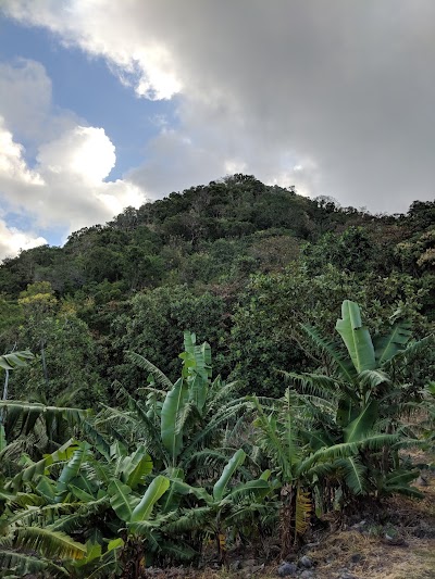Photos of Montserrat Breeze