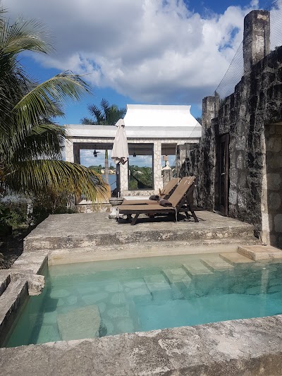 Photos of Coqui coqui coba