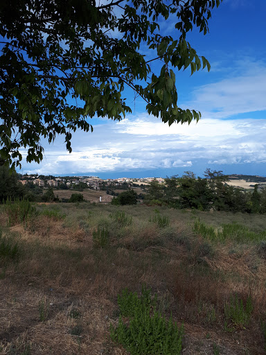 Esso Fermo - Visual