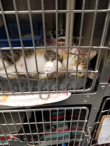 First State Animal Center and SPCA - Thumbnail