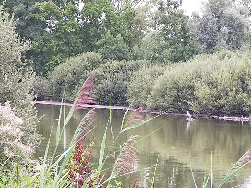 Marais de Fretin parking - Thumbnail