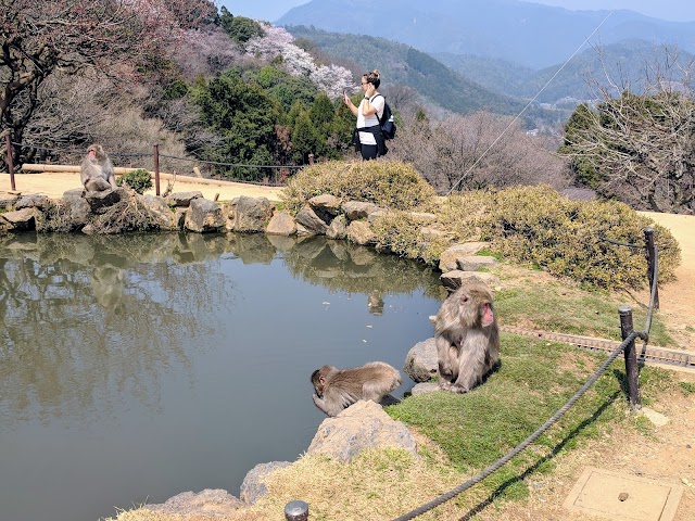 Iwatayama Monkey Park