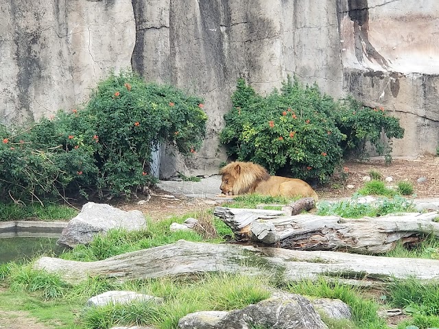 San Francisco Zoo