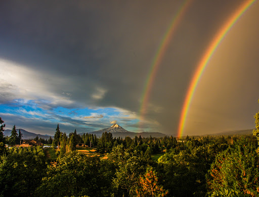 Mark Mason Windermere Real Estate