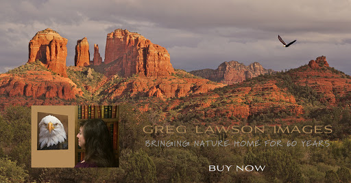 Greg Lawson Galleries - Thumbnail