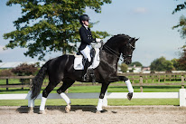 HARAS DU FEUILLARD à Vidai