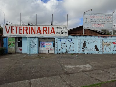 Photos of Clinica Veterinaria Santa Rosa