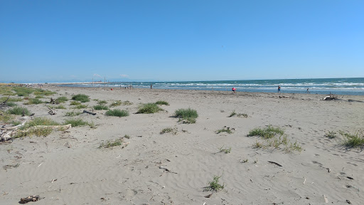 Pellestrina Caroman - Thumbnail