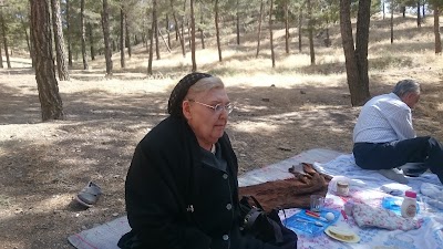 Photos of North Yās Forest Park