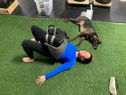 Primal Performance Training - Visual