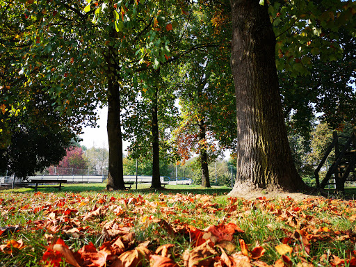 Della Mora Park - Thumbnail
