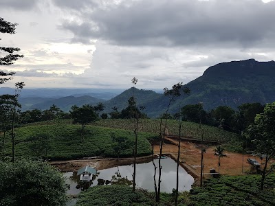 Photos of Udagilma Tea Estate Resort