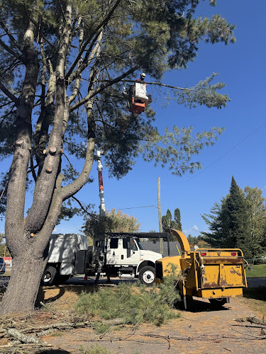 Horizon Tree Company work photo 1