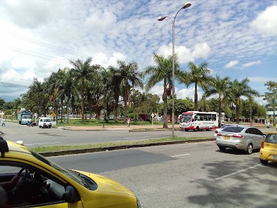 park
