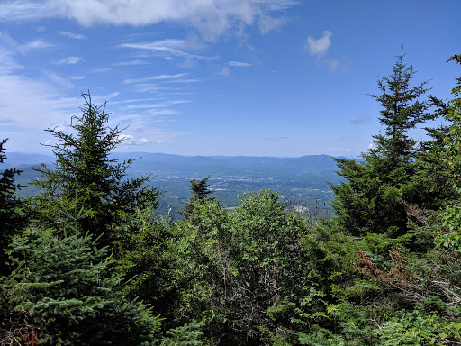 The Canty Trail