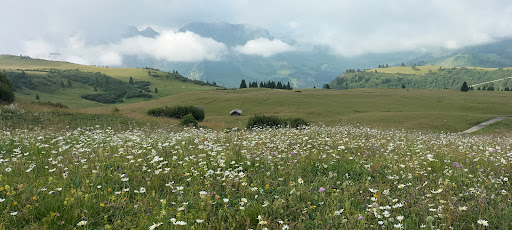 Corvara, Strada Col - Visual