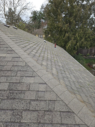 post-image-2