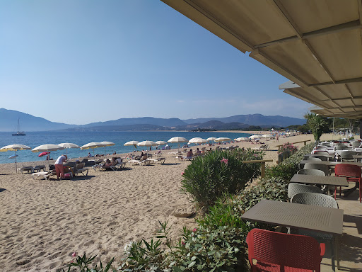 Le délice Club Gallery - France